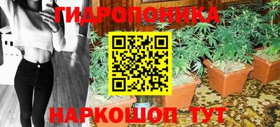 прущие крисы Кунгур
