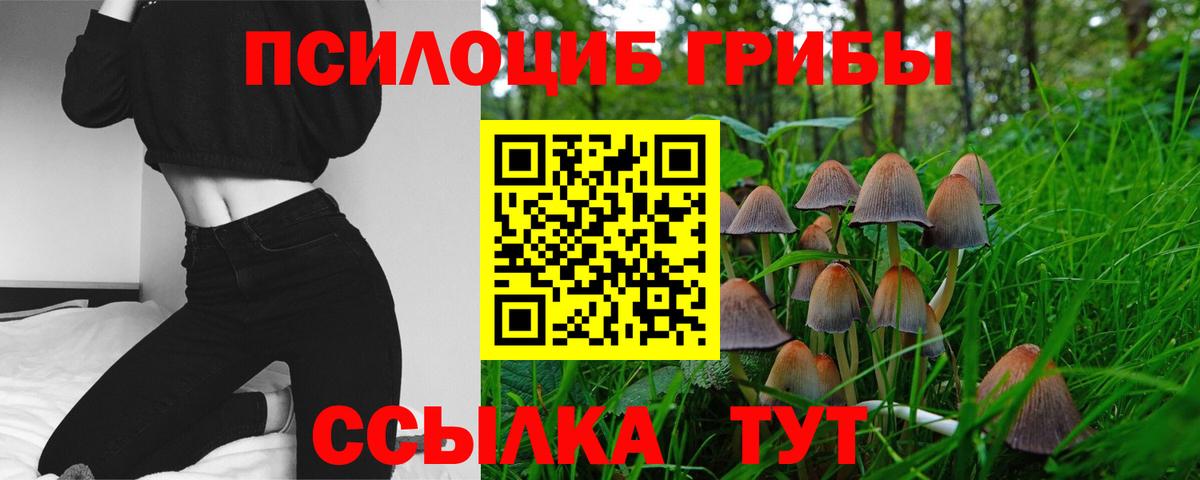 Галлюциногенные грибы мухоморы Калач-на-Дону